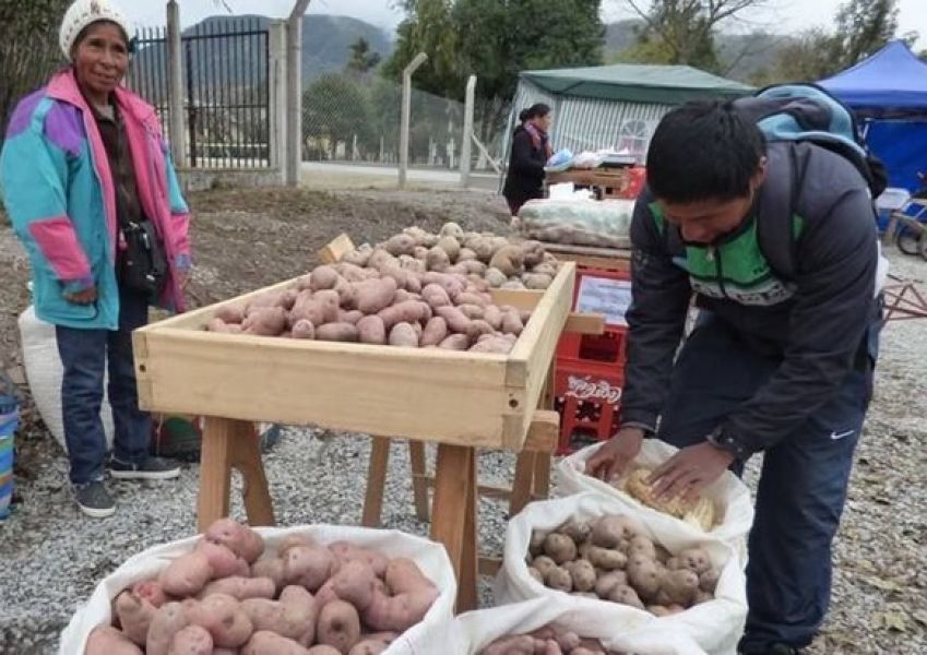 Folclor, sabor y textura de la papa andina en El Alfarcito - Cultura -  Nuevo Diario de Salta, Argentina